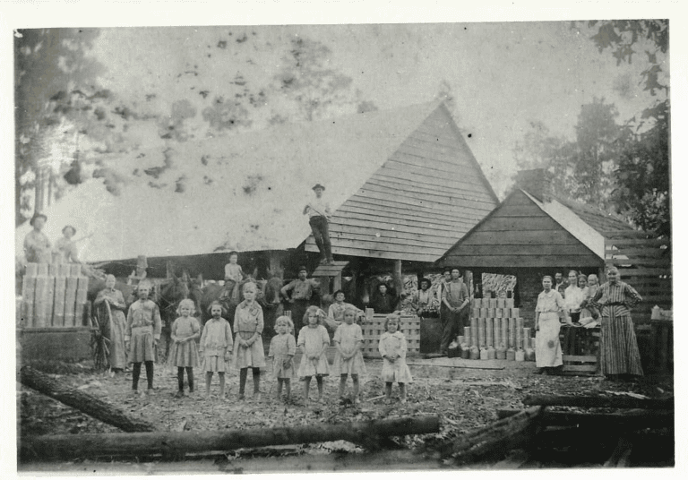 Cane Grinding: Making Syrup and Building Community in the South